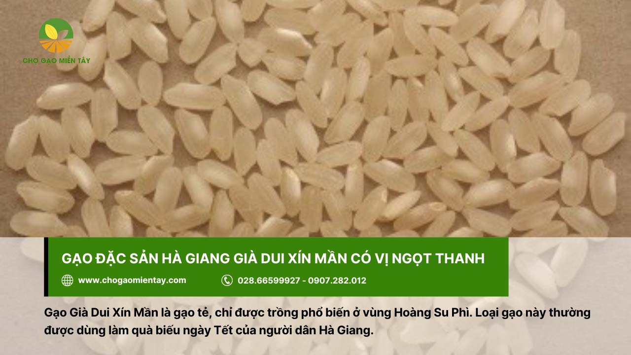 Giới thiệu các loại gạo đặc sản phổ biến, được ưa chuộng ở Việt Nam 10 Gạo Già Dui Xín Mần làm quà biếu dịp Tết, nổi tiếng ở Hà Giang