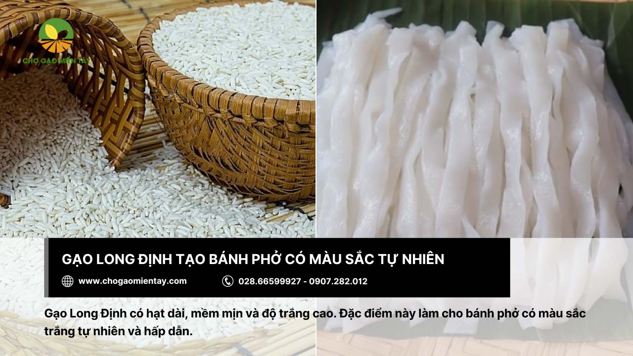 Gạo làm bánh phở: Tiêu chí và địa chỉ mua gạo chất lượng 10 Bánh phở làm từ gạo Long Định sẽ có màu sắc tự nhiên