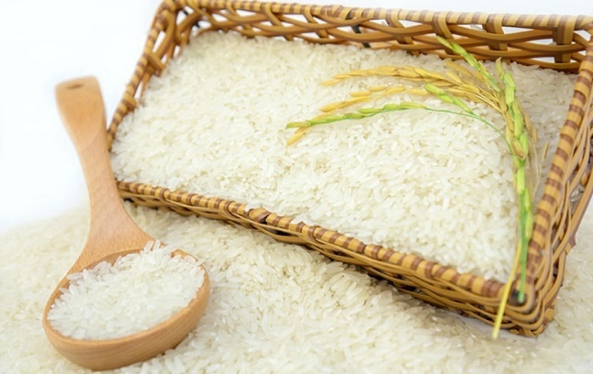 Gạo ngon ở Hà Nội mua ở đâu uy tín chất lượng 18 Đại Lý Phân Phố Gạo Ngon FAS Hà Nội Việt Nam