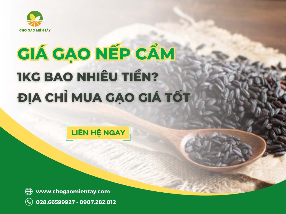 Gạo Nếp Cẩm 1 Giá gạo nếp cẩm 1kg bao nhiêu tiền? Địa chỉ mua gạo giá tốt