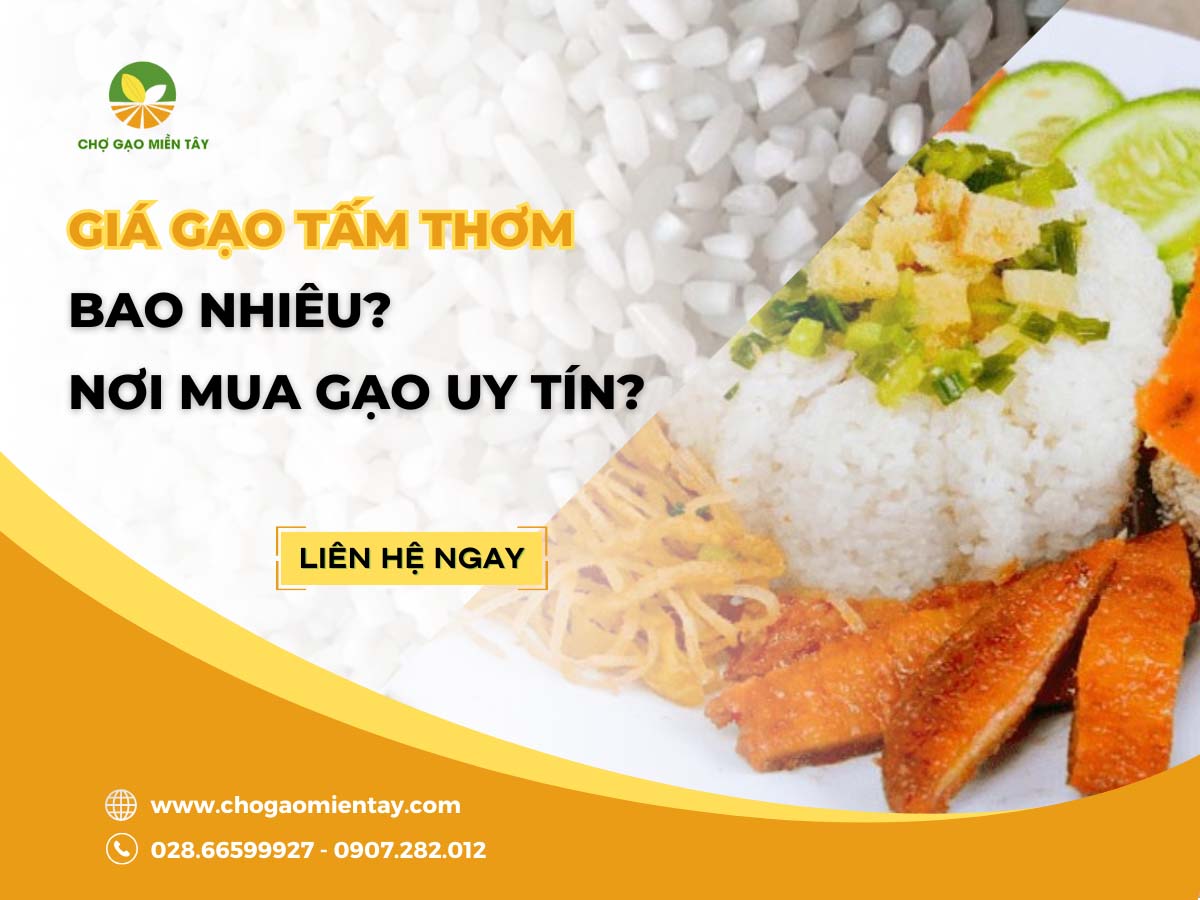 Gạo Tấm Thơm 1 Giá gạo tấm thơm bao nhiêu? Nơi mua gạo tấm thơm uy tín?