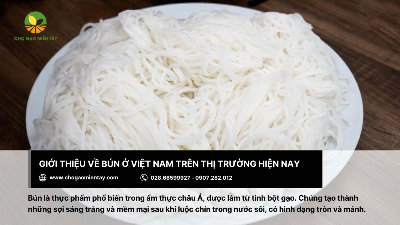 Nguồn sản xuất bún xuất khẩu uy tín Chợ Gạo Miền Tây 2 Bún là thực phẩm phổ biến ở Việt Nam