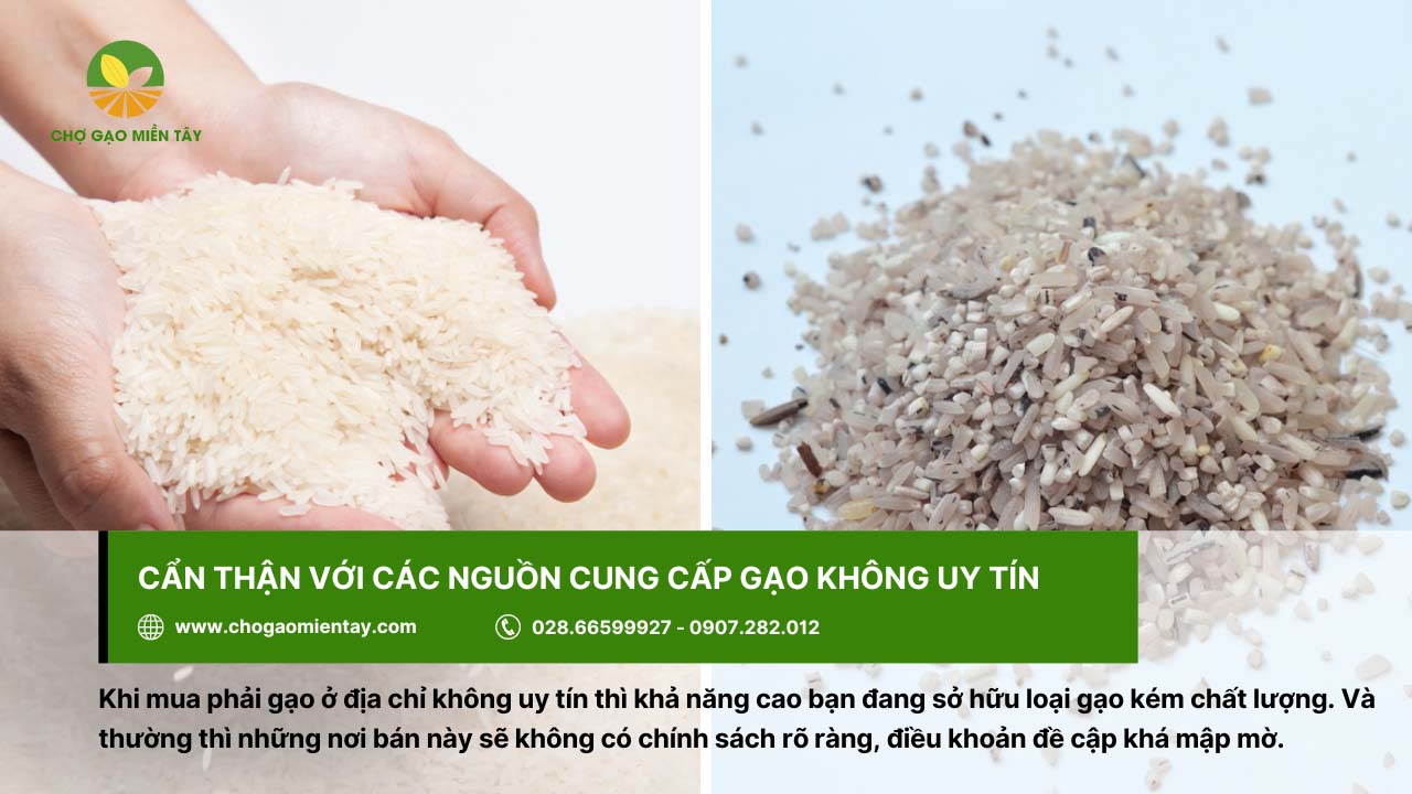 8 rủi ro khi kinh doanh gạo và giải pháp khắc phục hiệu quả 3 Cẩn trọng để không mua phải loại gạo kém chất lượng