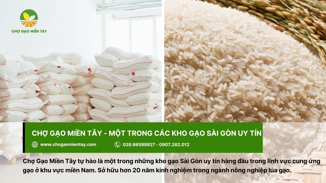 Kho gạo Sài Gòn: Bỏ mối gạo sỉ nhập gạo tận gốc cho đại lý 2 Chợ Gạo Miền Tây cung ứng gạo chất lượng và uy tín trên thị trường