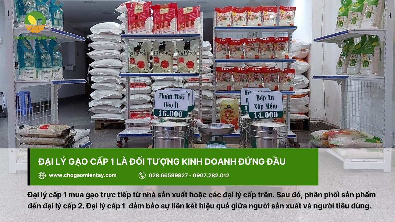 Mở đại lý gạo cần những gì? Hướng dẫn cách mở đại lý gạo 18 Đại lý cấp 1 thường mua gạo trực tiếp từ các nhà sản xuất