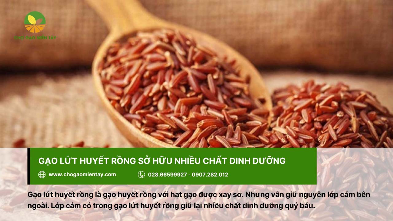 Gạo lứt huyết rồng là gì? Công dụng & Tác dụng đối với cơ thể 3 Gạo lứt huyết rồng chứa nhiều chất dinh dưỡng