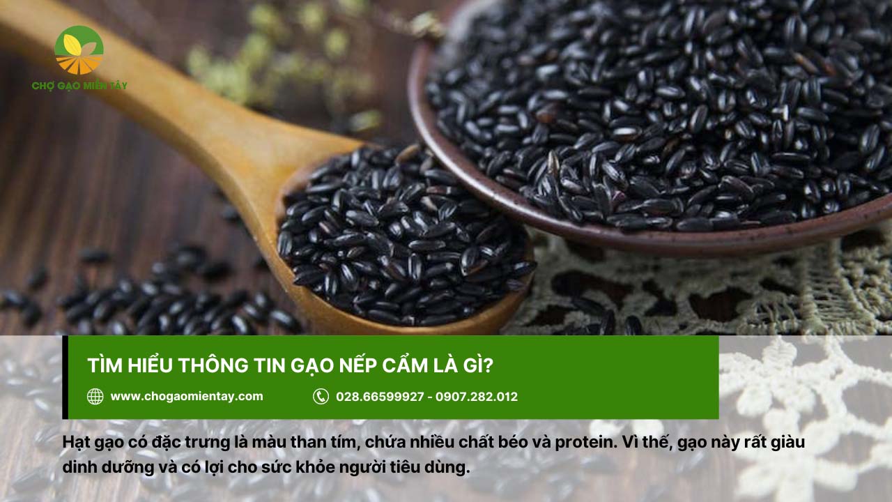 Gạo Nếp Cẩm 2 Gạo nếp cẩm giàu dinh dưỡng, nhiều chất béo cùng protein
