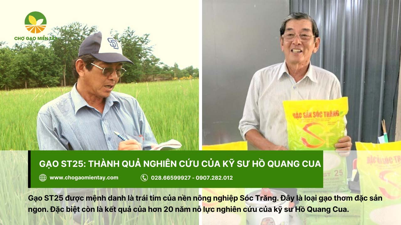 Gạo đặc sản ST25 2 Gạo ST25 là thành quả hơn 20 năm nghiên cứu của kỹ sư Hồ Quang Cua