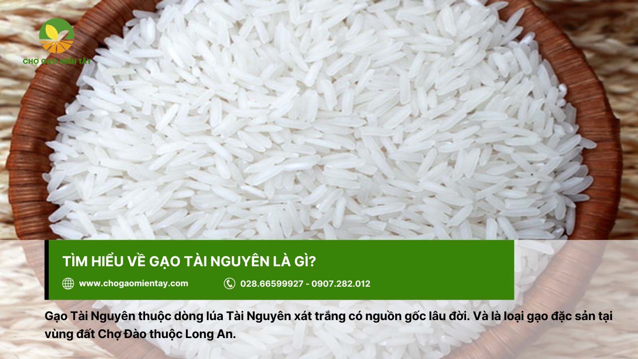 Gạo Tài Nguyên Thơm 2 Gạo Tài Nguyên là loại gạo đặc sản ở vùng Long An