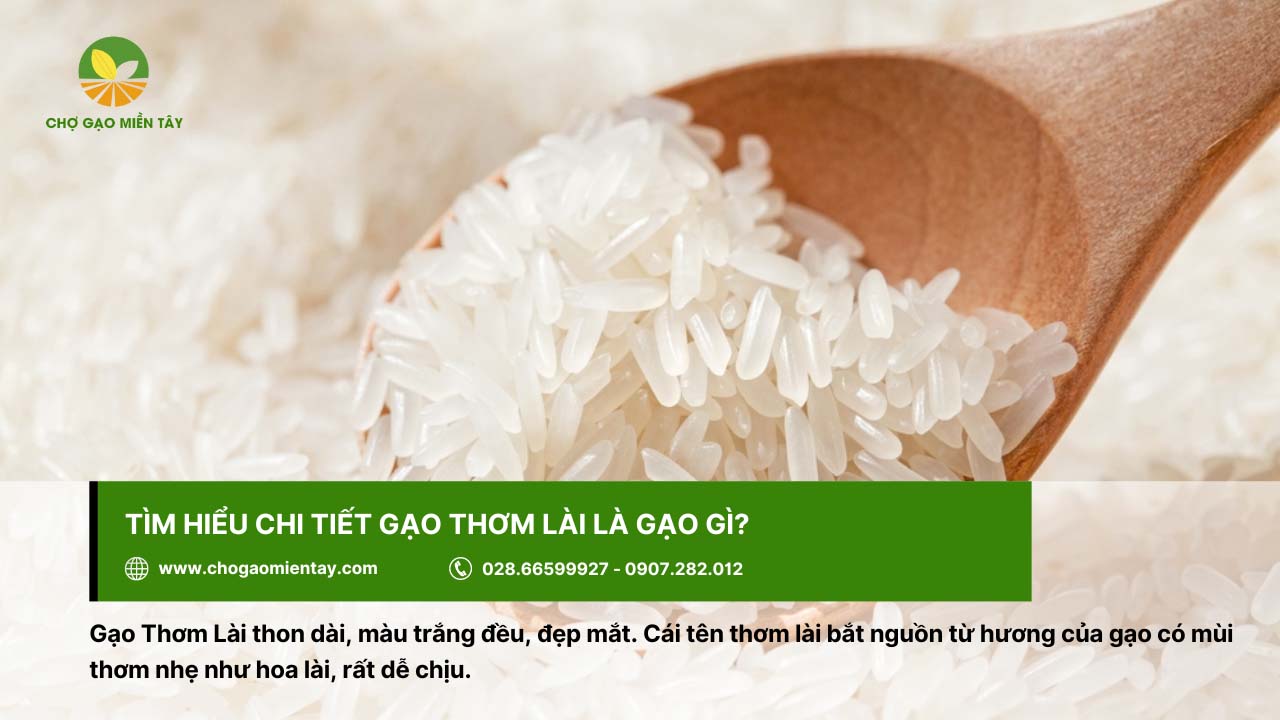 Gạo Thơm Lài là gì? Giá bao nhiêu tiền 1 kg? 2 Gạo Thơm Lài có màu trắng đều, hạt thon dài