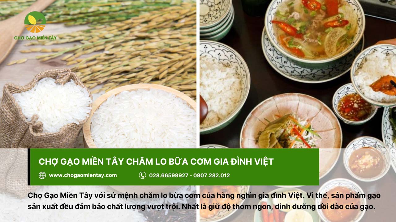 Chợ Gạo Miền Tây - Nhà máy gạo sản xuất gạo sạch, chất lượng 2 Chợ Gạo Miền Tây với sứ mệnh chăm lo cho bữa cơm của gia đình Việt