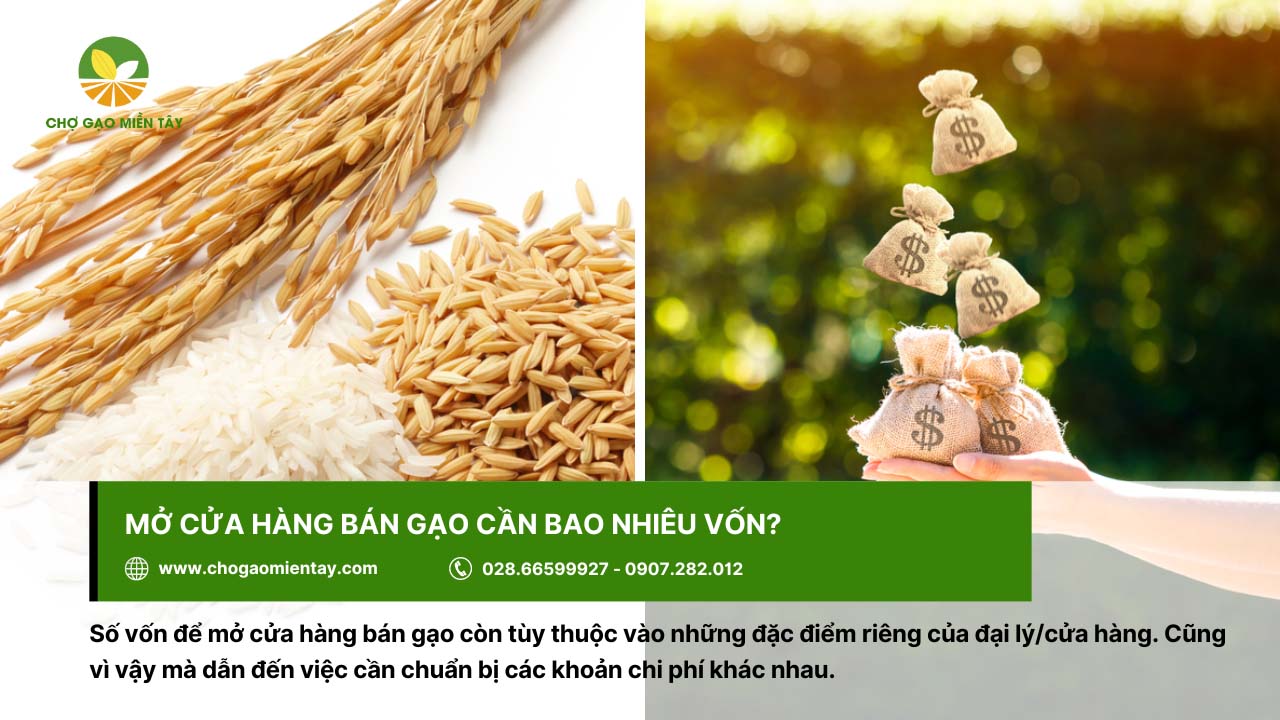 Mở đại lý gạo cần bao nhiêu vốn? Tư vấn mở đại lý gạo hiệu quả 2 Mở đại lý gạo cần bao nhiêu vốn? Vốn mở cửa hàng bán gạo phụ thuộc vào nhiều yếu tố