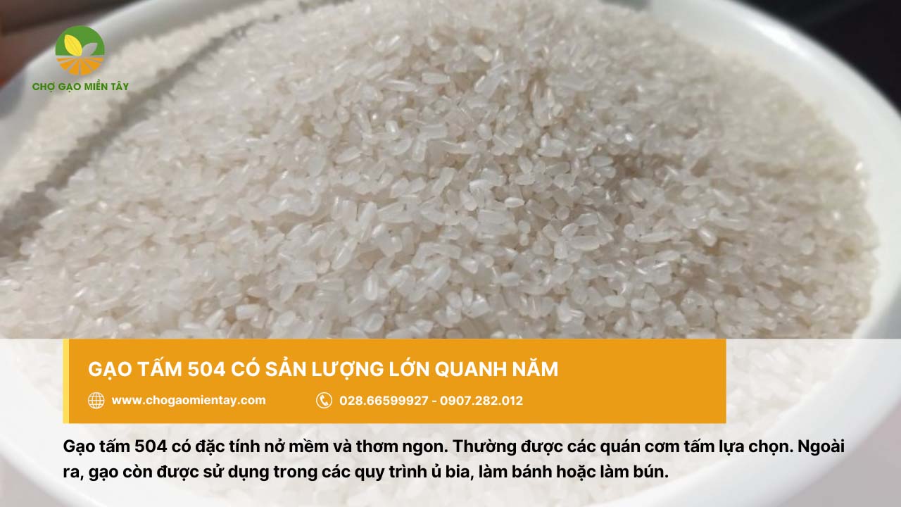 Gạo tấm bán ở đâu? Mua gạo tấm cho quán cơm tấm 11 Gạo tấm 504 được đa số các quán cơm tấm lựa chọn