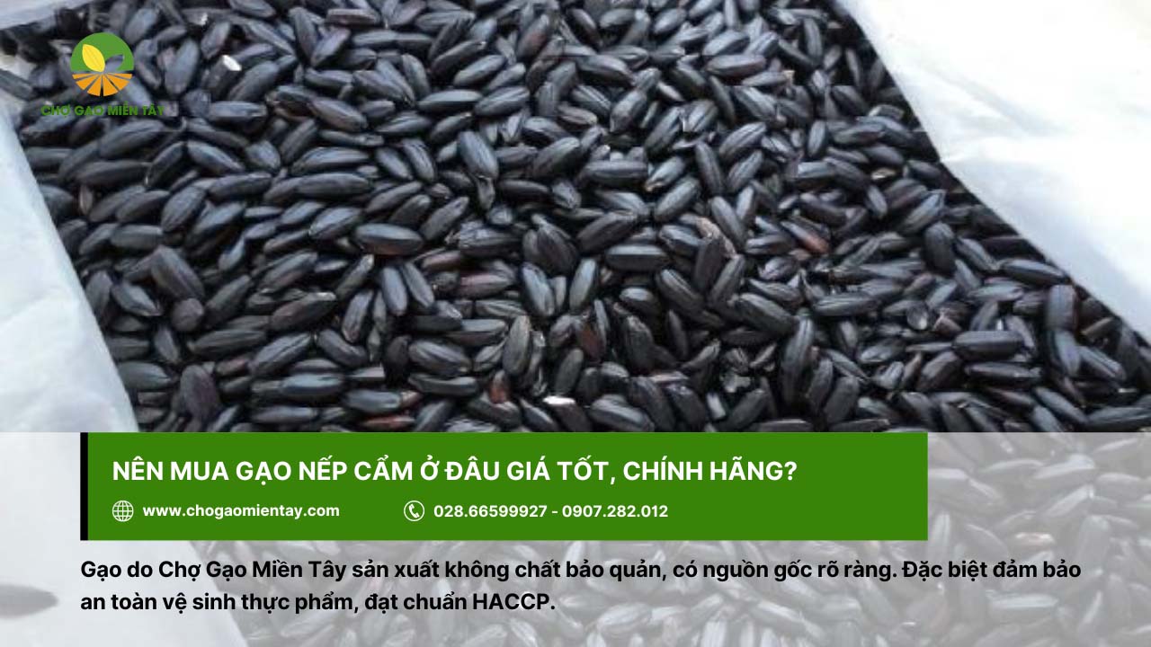 Gạo Nếp Cẩm 12 Chợ Gạo Miền Tây cung cấp gạo chất lượng và uy tín