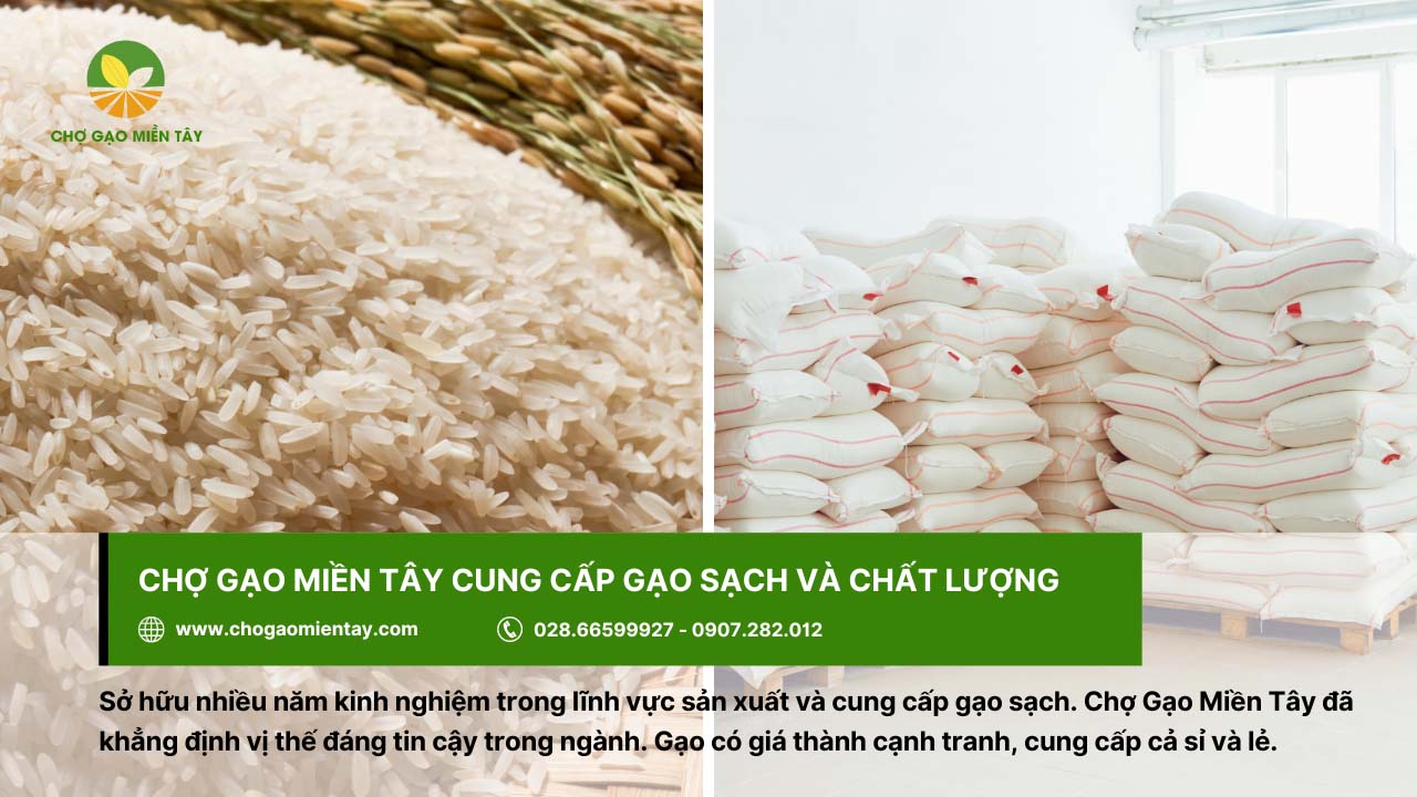 Quy trình sản xuất gạo sạch chất lượng và an toàn 12 Chợ Gạo Miền Tây cung cấp gạo sạch và tươi ngon