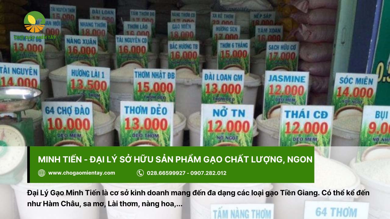Danh sách top 10 vựa gạo Tiền Giang chất lượng và uy tín hiện nay 12 Đại lý gạo Minh Tiến sở hữu sản phẩm gạo ngon