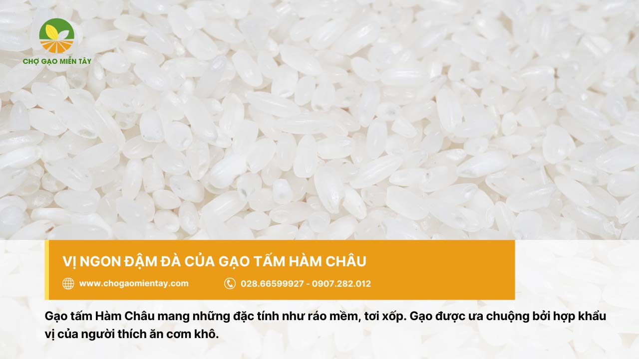 Gạo tấm bán ở đâu? Mua gạo tấm cho quán cơm tấm 12 Gạo tấm Hàm Châu cho cơm tơi xốp, ngon đậm đà