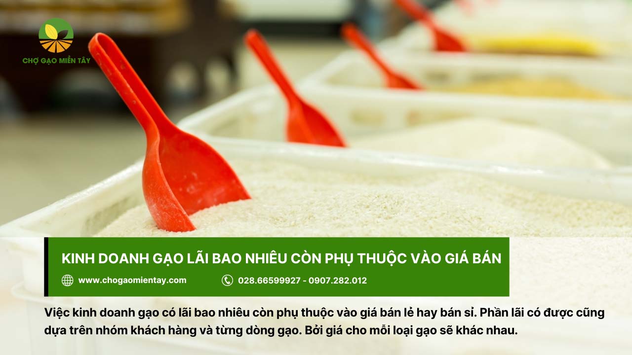 Kinh doanh gạo có lời không? Lợi nhuận kinh doanh gạo là bao nhiêu? 4 Lãi khi kinh doanh gạo còn phụ thuộc vào nhiều yếu tố