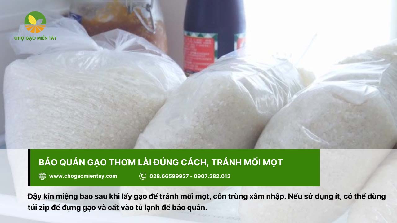 Gạo Thơm Lài 6 Cần bảo quản kỹ gạo Thơm Lài để tránh mối mọt xâm nhập