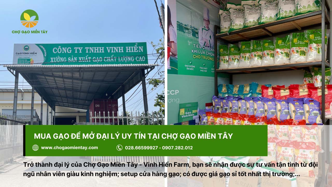 Kinh nghiệm kinh doanh gạo thành công cho người mới bắt đầu 27 Mua gạo để mở đại lý uy tín, giá tốt tại Chợ Gạo Miền Tây