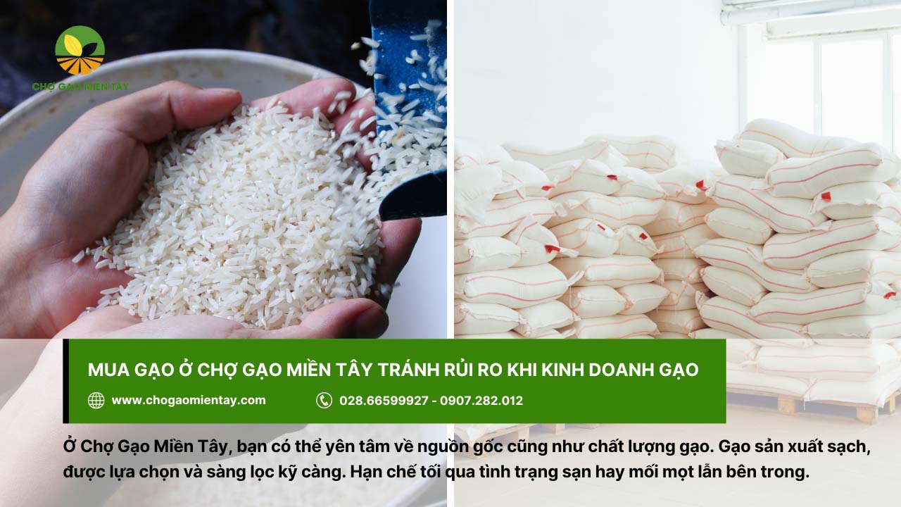 8 rủi ro khi kinh doanh gạo và giải pháp khắc phục hiệu quả 21 Mua gạo ở Chợ Gạo Miền Tây để tránh rủi ro khi kinh doanh gạo