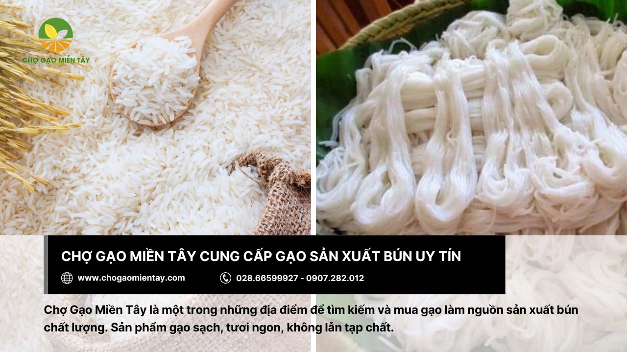 Nguồn sản xuất bún xuất khẩu uy tín Chợ Gạo Miền Tây 14 Chợ Gạo Miền Tây cung cấp gạo sản xuất bún ngon, chất lượng