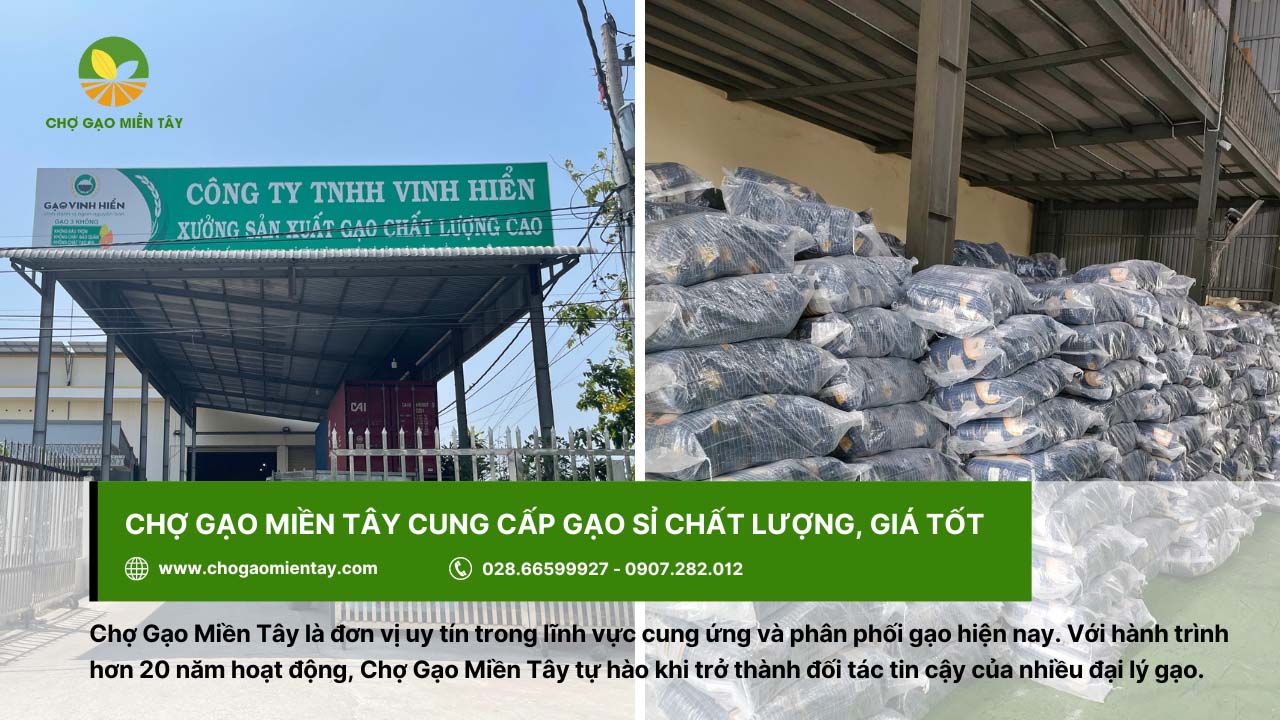 Kinh doanh gạo có lời không? Lợi nhuận kinh doanh gạo là bao nhiêu? 9 Chợ Gạo Miền Tây cung cấp gạo sỉ, giá tốt cho đại lý