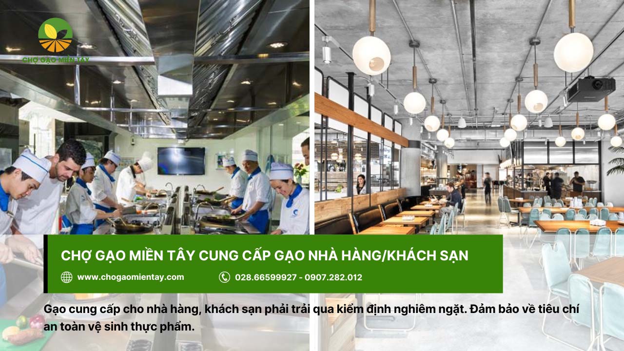 Chợ Gạo Miền Tây - Nhà máy gạo sản xuất gạo sạch, chất lượng 15 Gạo ngon cung cấp cho các nhà hàng, khách sạn