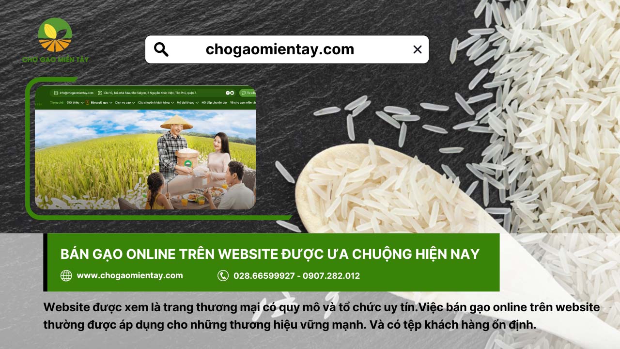 Chiến lược kinh doanh gạo online hiệu quả, lợi nhuận cao 16 Bán gạo online trên website