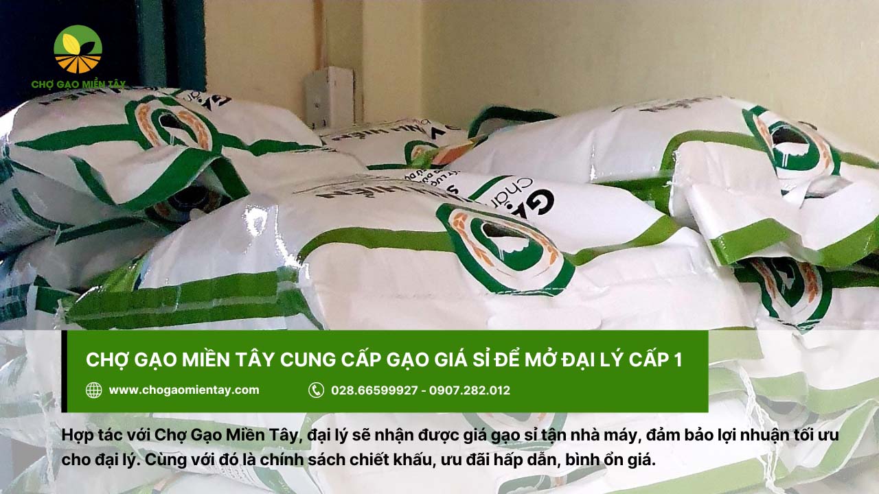 Mở đại lý gạo cần những gì? Hướng dẫn cách mở đại lý gạo 17 Chợ Gạo Miền Tây cung cấp gạo giá sỉ bình ổn để mở đại lý cấp 1