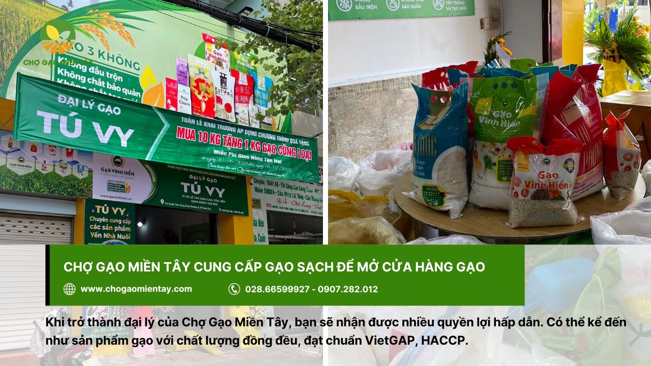 Mở đại lý gạo cần bao nhiêu vốn? Tư vấn mở đại lý gạo hiệu quả 21 Chợ Gạo Miền Tây cung cấp gạo sạch để mở cửa hàng gạo
