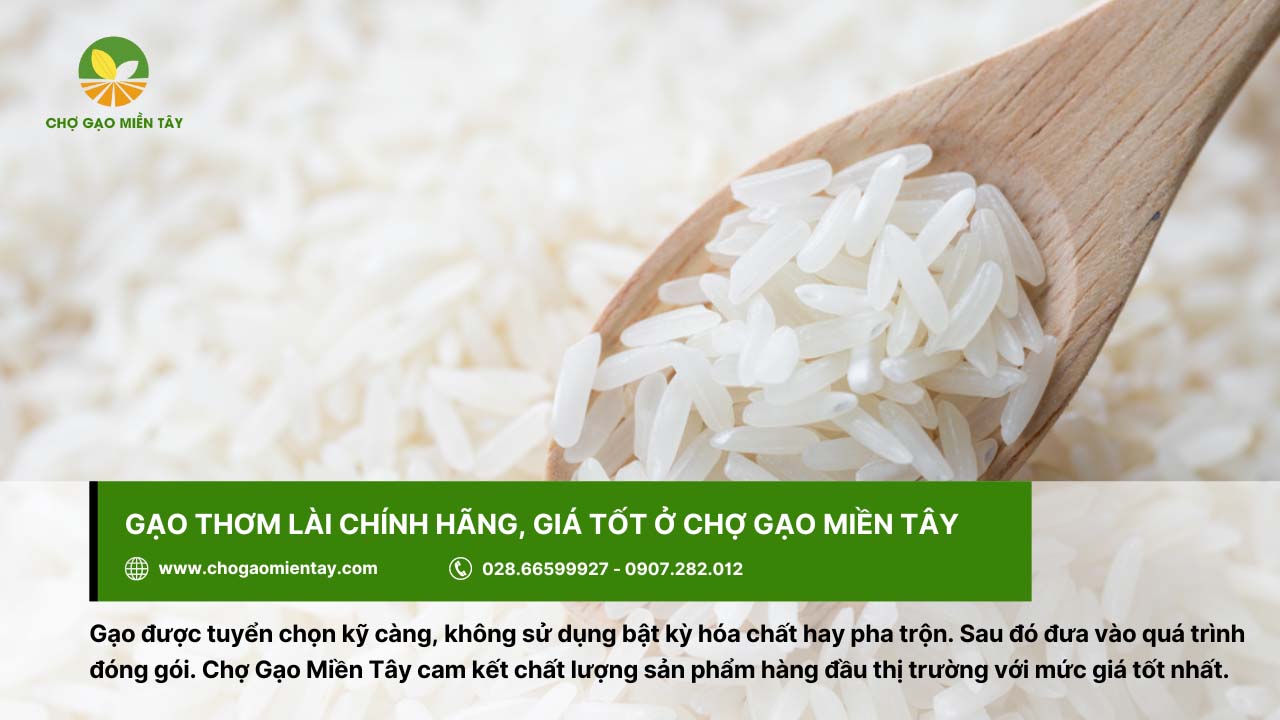 Gạo Thơm Lài là gì? Giá bao nhiêu tiền 1 kg? 11 Chợ Gạo Miền Tây cung cấp gạo sạch, ngon và uy tín