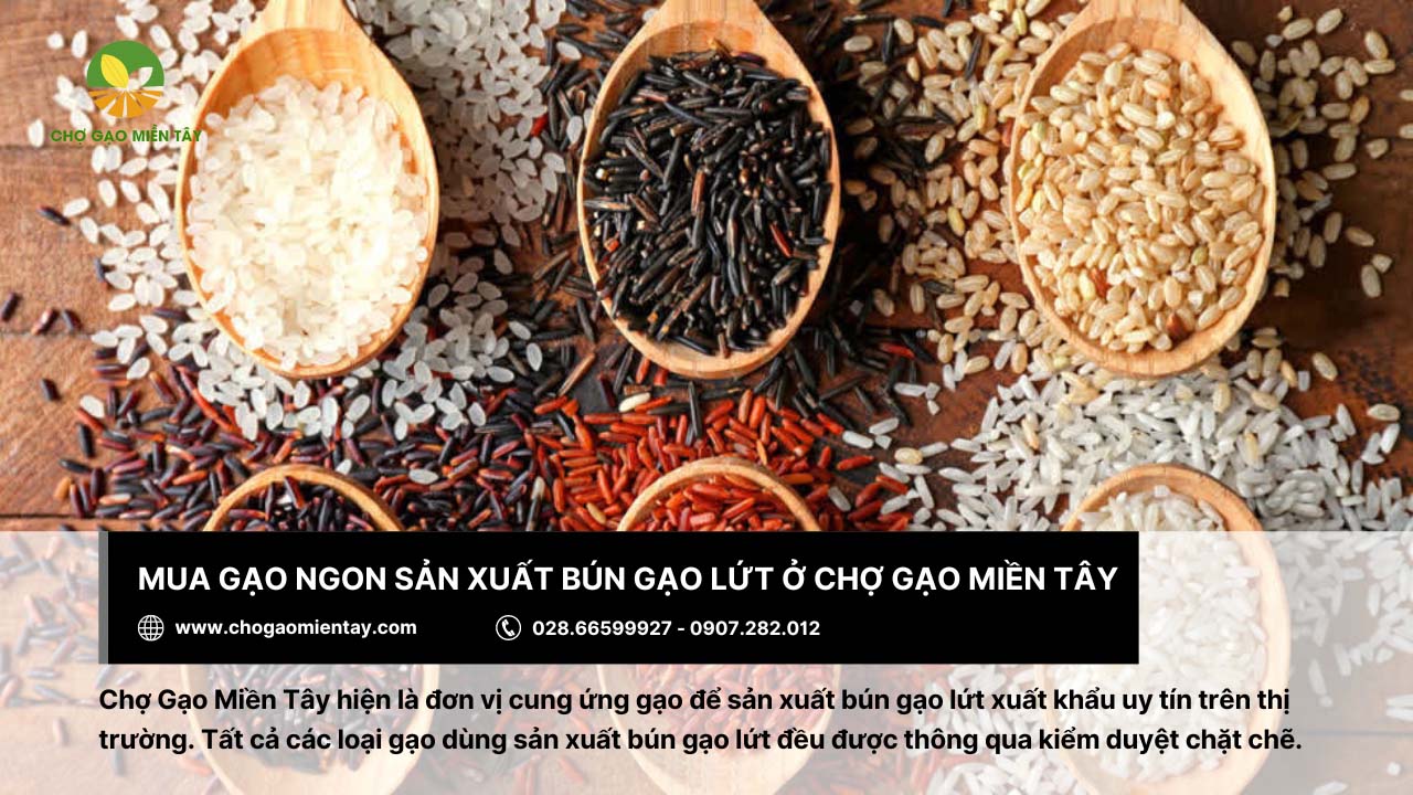 Quy trình sản xuất bún gạo lứt như thế nào? Bún gạo lứt có tác dụng gì? 16 Mua gạo sạch, chất lượng tại Chợ Gạo Miền Tây để sản xuất bún gạo lứt