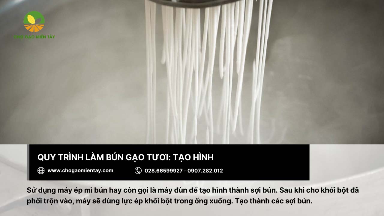 Quy trình làm bún tươi từ gạo chuẩn nhất 9 Sử dụng máy đùn để tạo hình thành sợi bún