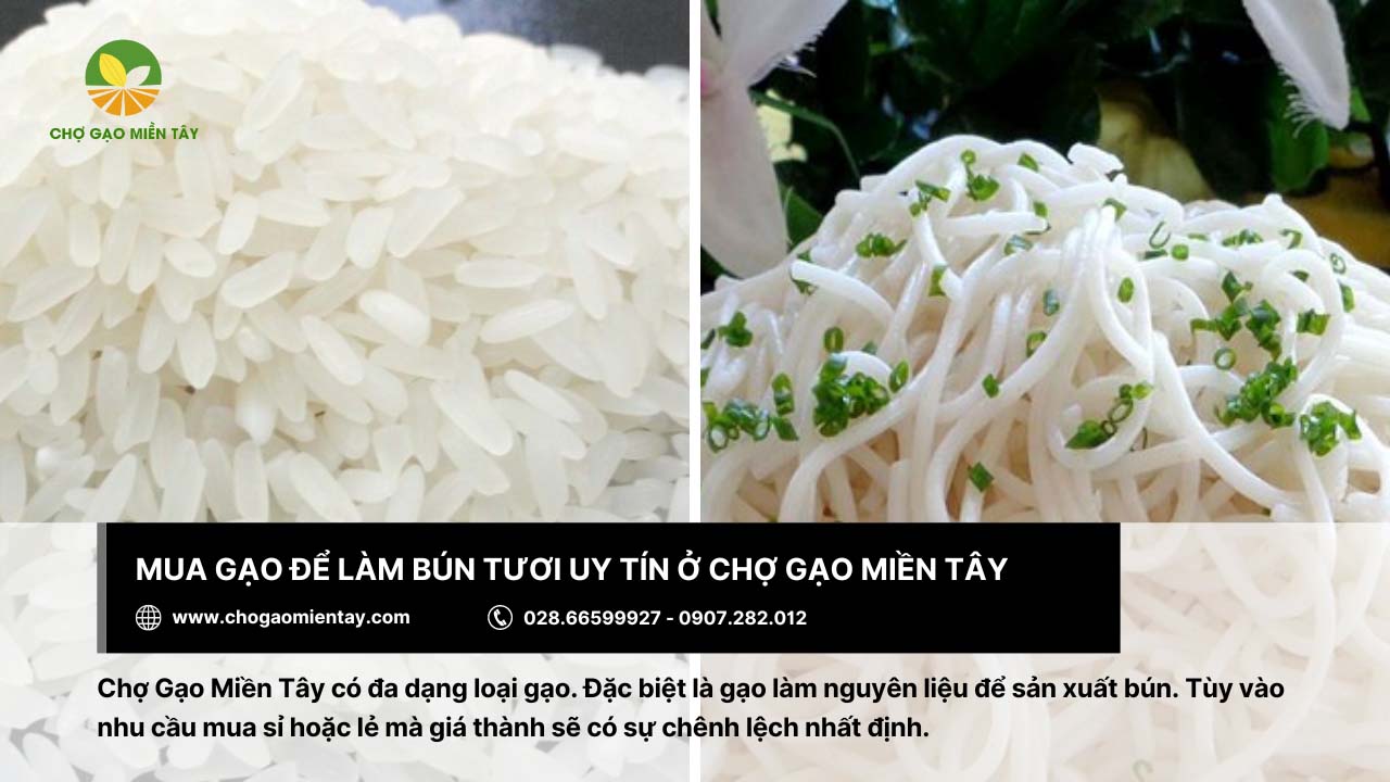 Quy trình làm bún tươi từ gạo chuẩn nhất 12 Chợ Gạo Miền Tây cung cấp gạo làm bún tươi chất lượng