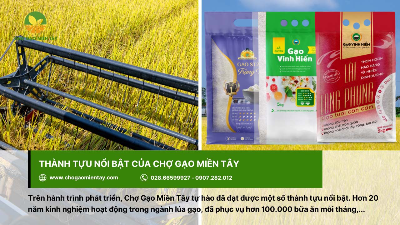 Chợ Gạo Miền Tây - Nhà máy gạo sản xuất gạo sạch, chất lượng 3 Chợ Gạo Miền Tây đạt được nhiều thành tựu nổi bật