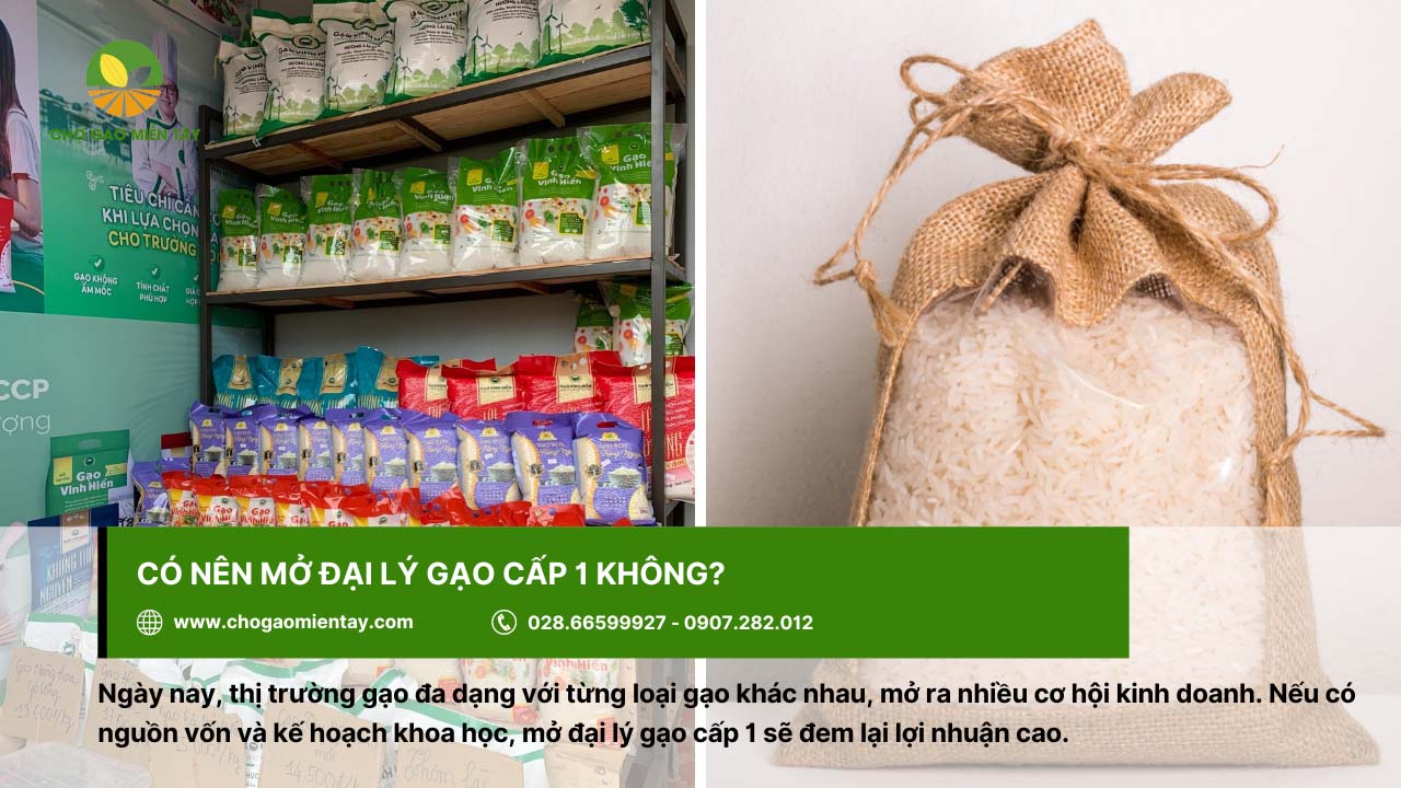 Mở đại lý gạo cần những gì? Hướng dẫn cách mở đại lý gạo 19 Nếu có nguồn vốn và kế hoạch khoa học, bạn có thể mở đại lý gạo cấp 1