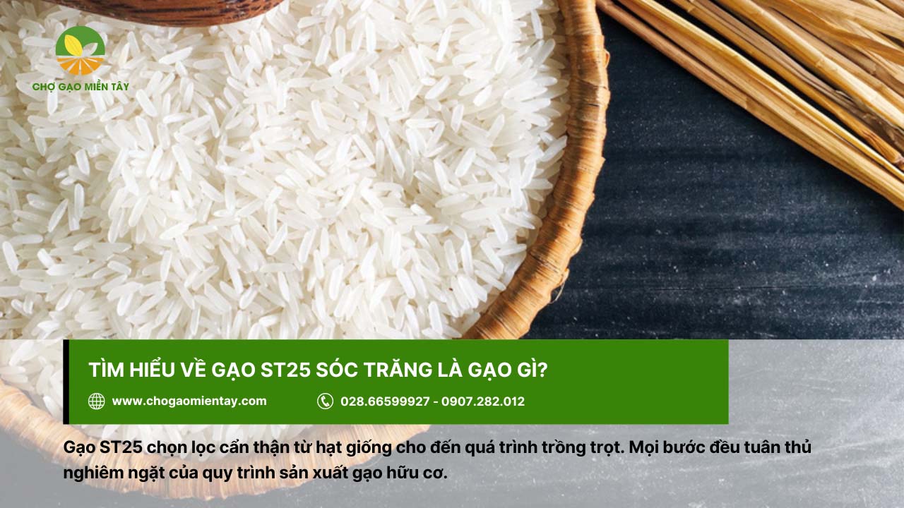 Gạo đặc sản ST25 3 Gạo ST25 được sản xuất với quy trình nghiêm ngặt