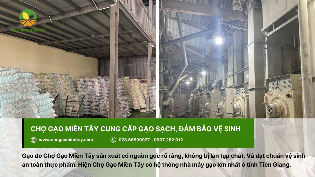 Kho gạo Sài Gòn: Bỏ mối gạo sỉ nhập gạo tận gốc cho đại lý 3 Sản phẩm gạo tại Chợ Gạo Miền Tây có nguồn gốc rõ ràng