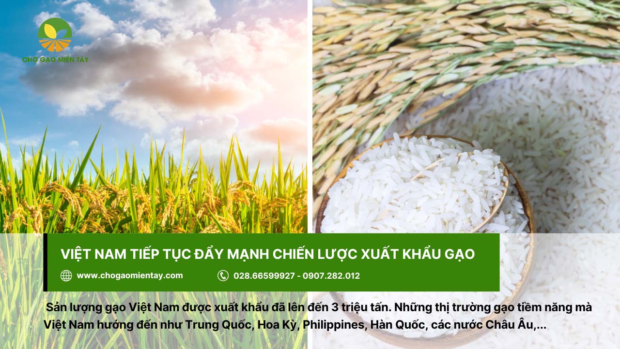 Top 10 nước xuất khẩu gạo lớn nhất thế giới năm 2024 5 Việt Nam tiếp tục đẩy mạnh chiến lược xuất khẩu gạo