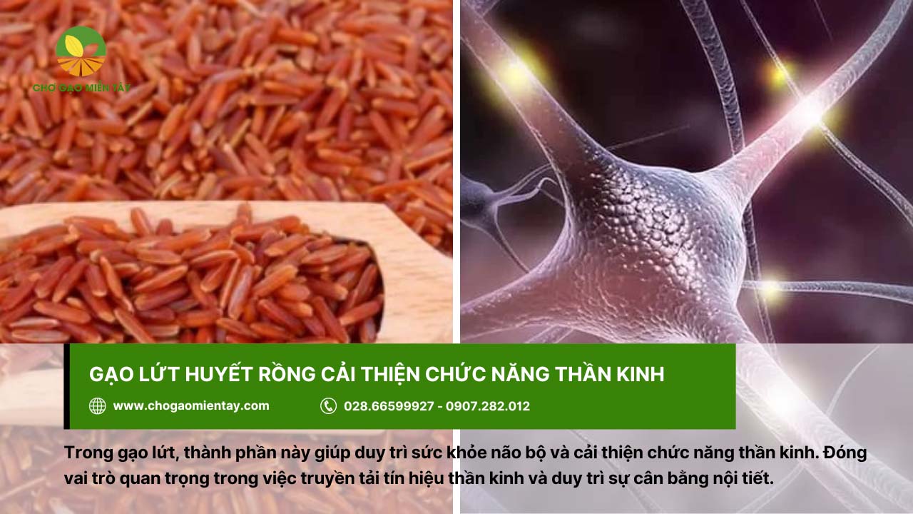 Gạo lứt huyết rồng là gì? Công dụng & Tác dụng đối với cơ thể 6 Cải thiện chức năng thần kinh nhờ gạo lứt huyết rồng