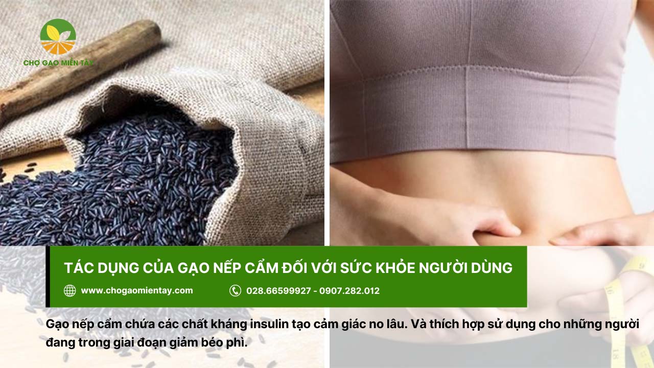 Gạo Nếp Cẩm 4 Gạo nếp cẩm thích hợp cho người trong giai đoạn giảm cân
