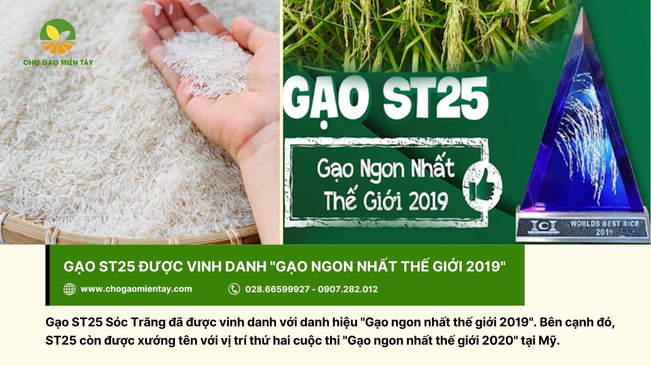 Gạo đặc sản ST25 4 Gạo ST25 được vinh danh gạo ngon nhất thế giới vào năm 2019
