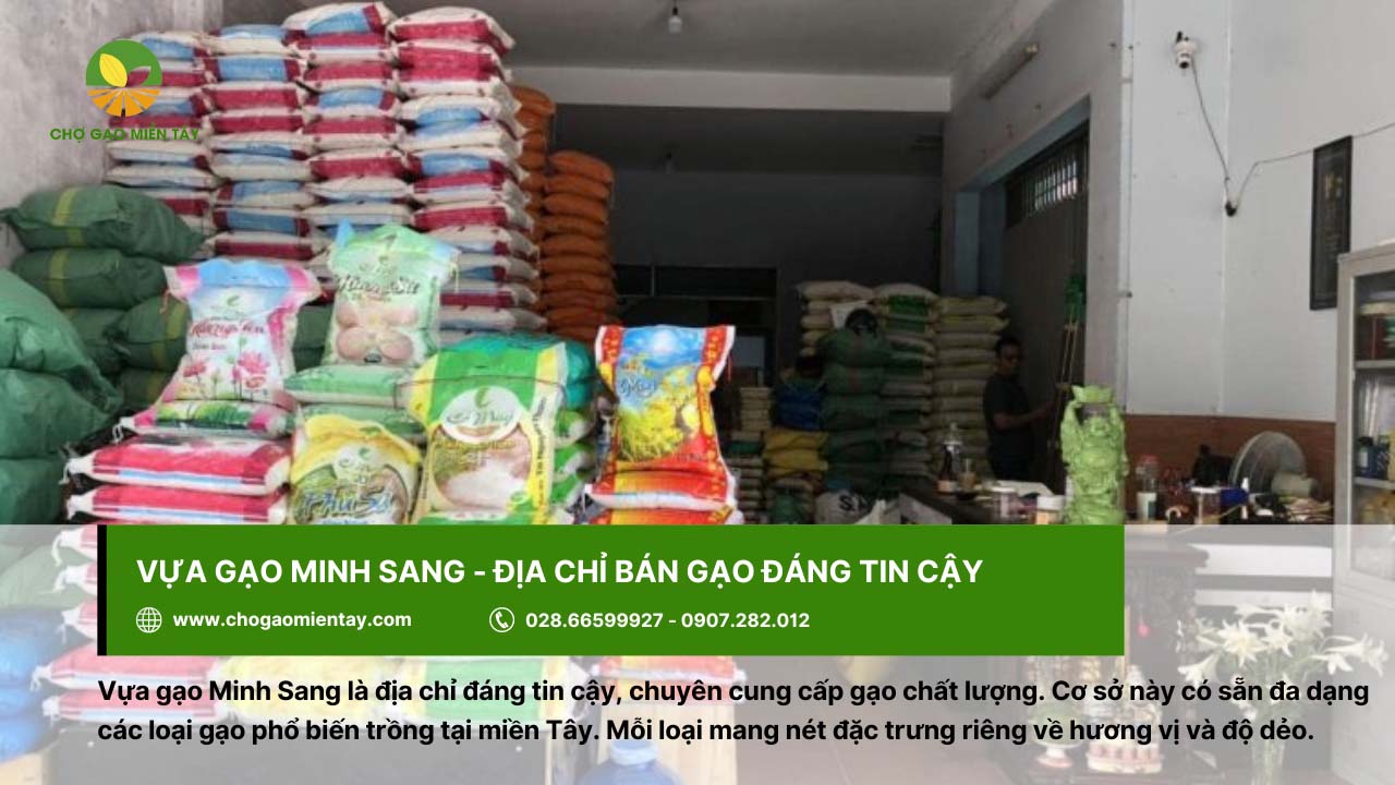 Danh sách top 10 vựa gạo Tiền Giang chất lượng và uy tín hiện nay 4 Vựa gạo Minh Sang cung cấp gạo chất lượng