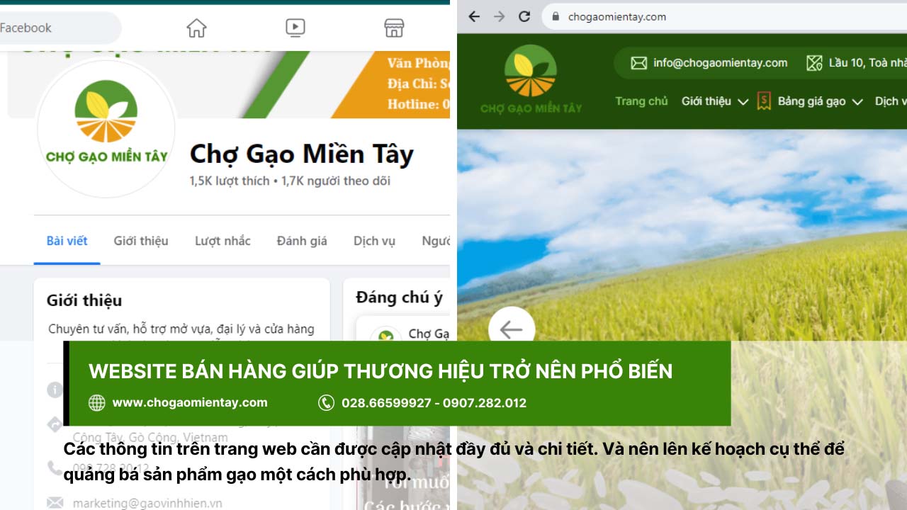 Chiến lược kinh doanh gạo online hiệu quả, lợi nhuận cao 4 Xây dựng website bán hàng giúp kinh doanh gạo online tối ưu