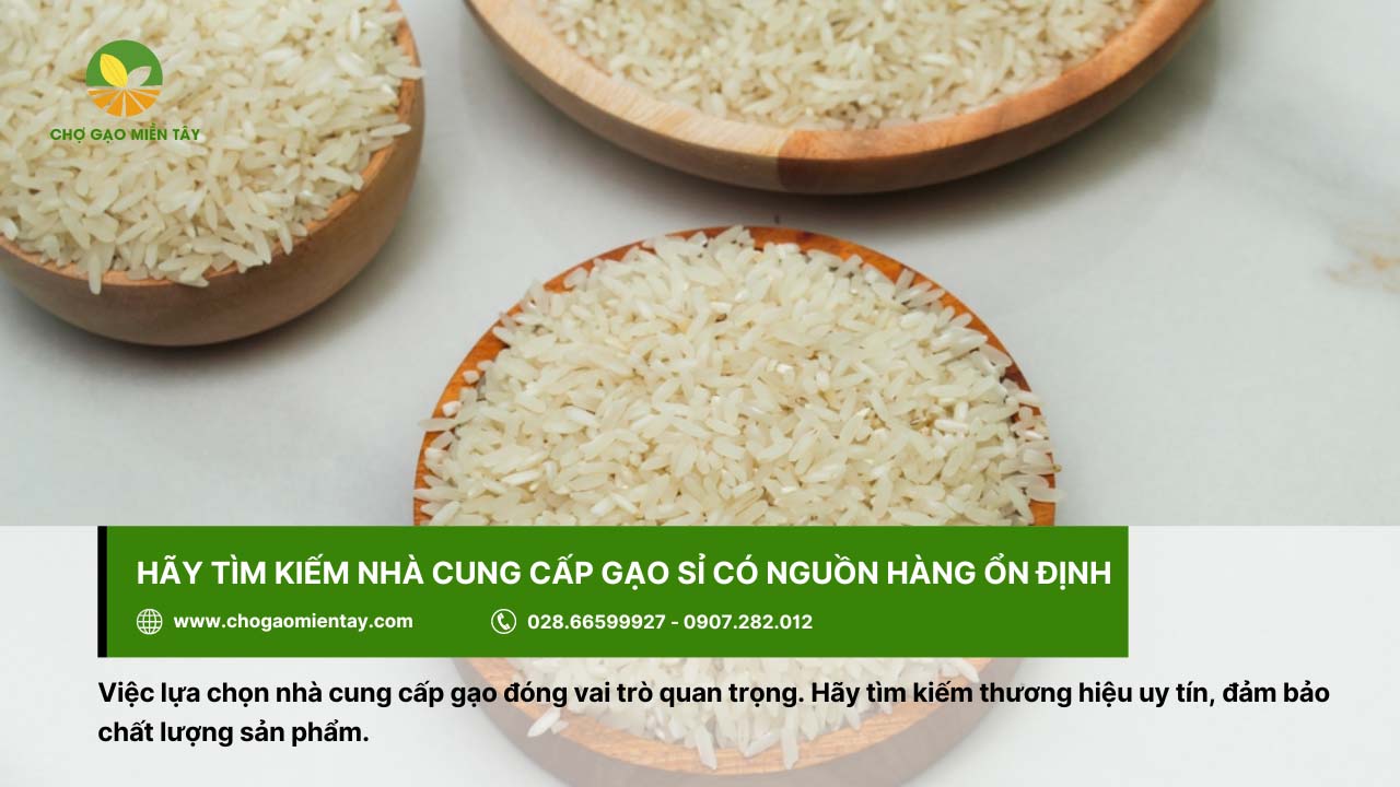 Kinh nghiệm kinh doanh gạo thành công cho người mới bắt đầu 16 Chợ Gạo Miền Tây là nhà cung cấp gạo giá sỉ tận nhà máy