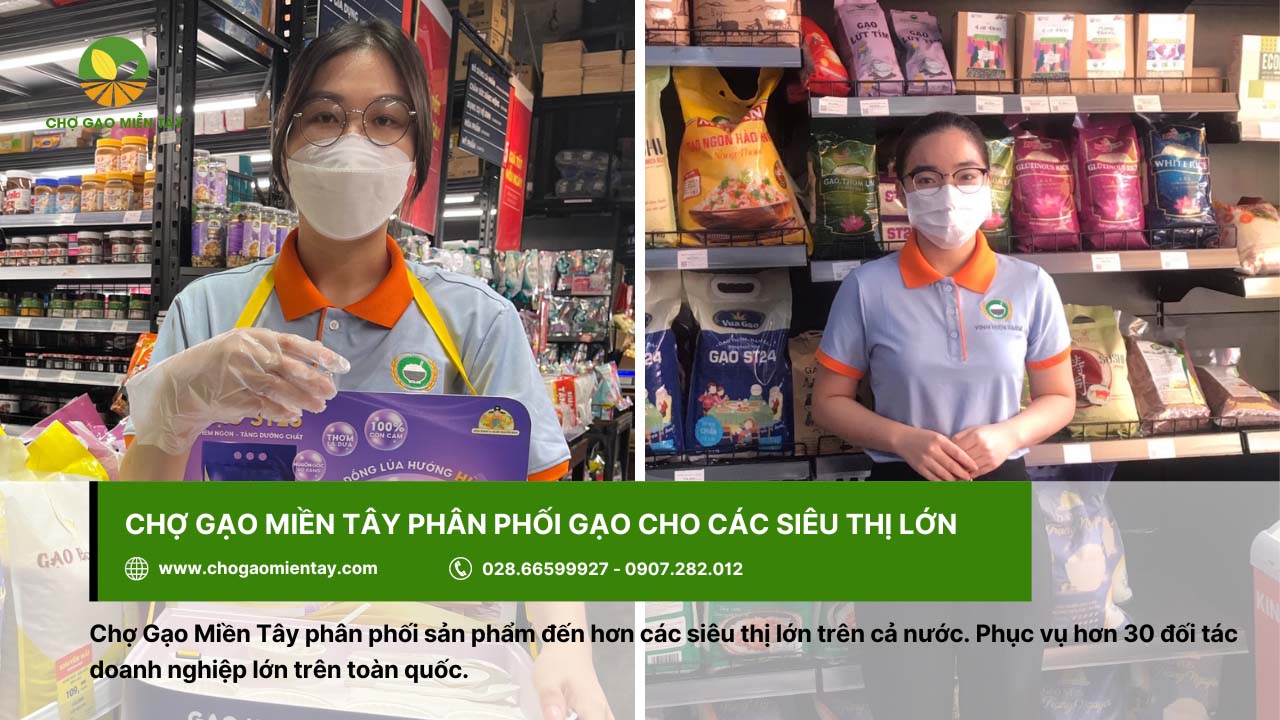 Kho gạo Sài Gòn: Bỏ mối gạo sỉ nhập gạo tận gốc cho đại lý 5 Chợ Gạo Miền Tây phân phối sản phẩm gạo cho siêu thị lớn