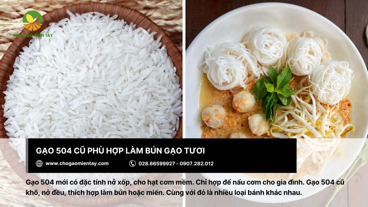 Gạo làm bún là gì? Bảng giá các loại gạo làm bún phổ biến 8 Gạo 504 cũ thích hợp để làm bún tươi ngon