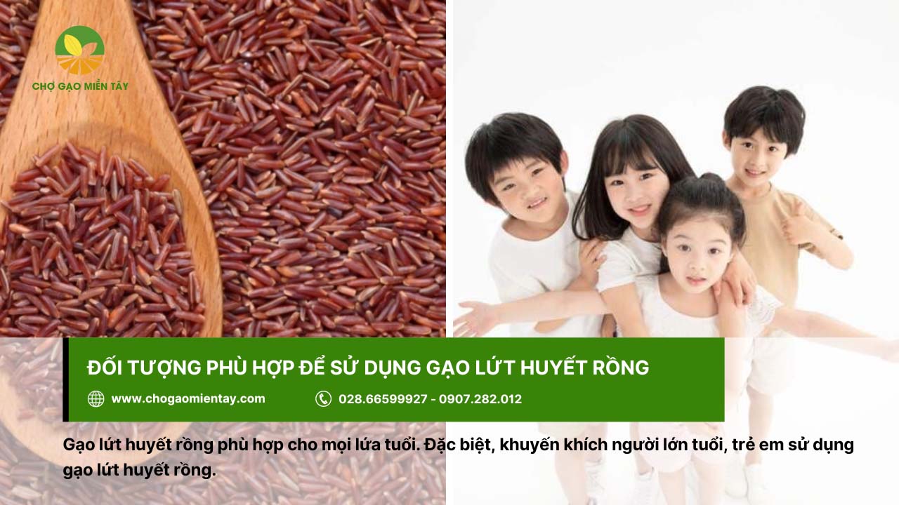 Gạo Lứt Huyết Rồng 7 Gạo lứt huyết rồng phù hợp cho mọi lứa tuổi