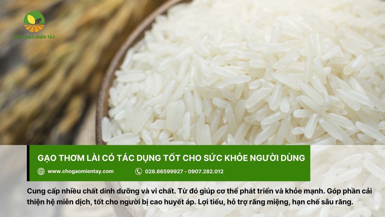 Gạo Thơm Lài 3 Gạo Thơm Lài chứa nhiều dinh dưỡng và vi chất